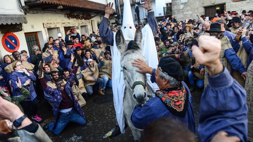 PACMA asegura que el burro del Peropalo del carnaval de Villanueva de la Vera recibe "Maltrato psíquico"