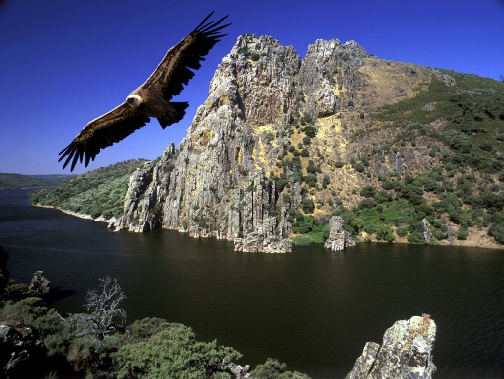 De este a oeste de Cáceres pasando por Monfragüe. Así será el Grand Tour de la UNESCO