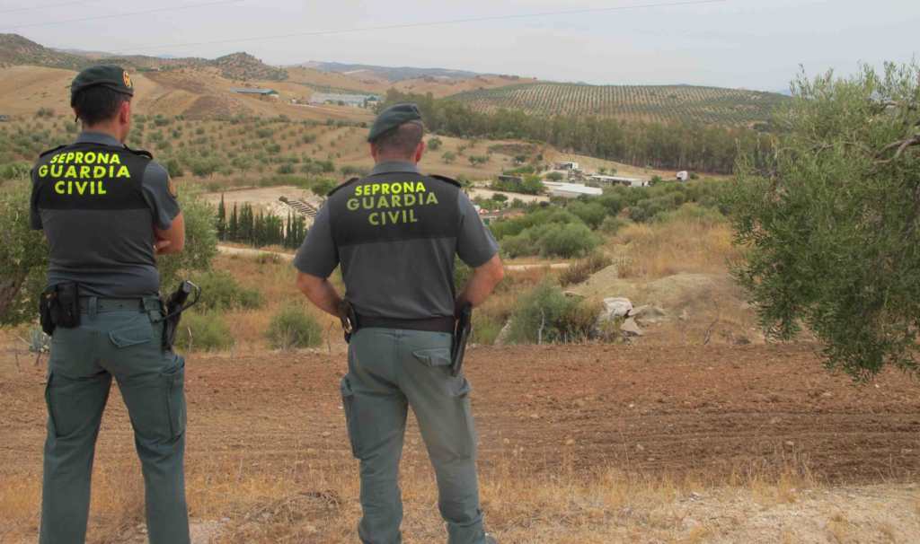 Hallan explotación ganadera con cadáveres de terneros y animales desnutridos