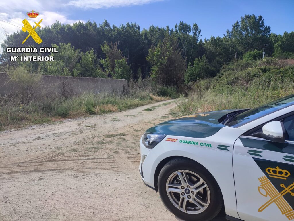 La Guardia Civil detiene a los cuatro presuntos autores de un incendio forestal en la localidad de Escalona (Toledo) que afectó a 20 hectáreas de terreno