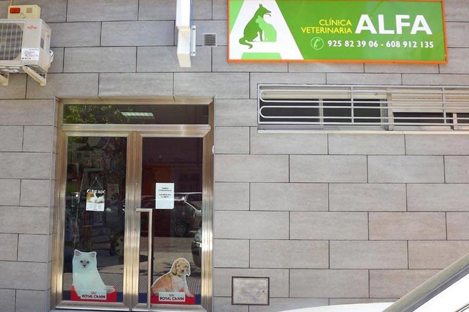 Clínica Alfa, cuidan de nuestras mascotas en el barrio La Milagrosa
