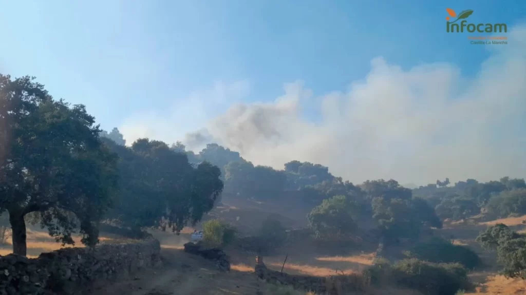 Sofocado el incendio forestal en Castillo de Bayuela
