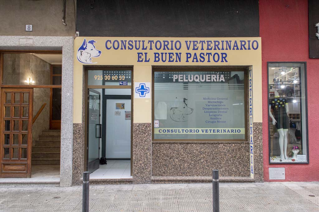 Consultorio Veterinario El Buen Pastor, los mejores cuidados para nuestras mascotas