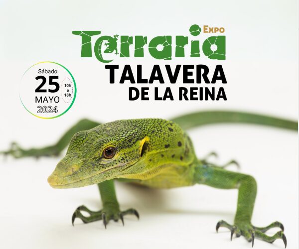 64ª Edición de Expoterraria en Talavera Ferial