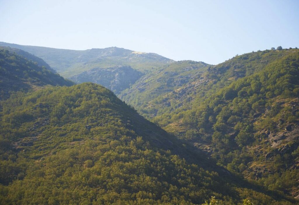 Conoce la mejor escapada para desconectar y disfrutar del sol. Garganta de los Infiernos (Foto de turismocaceres.org)