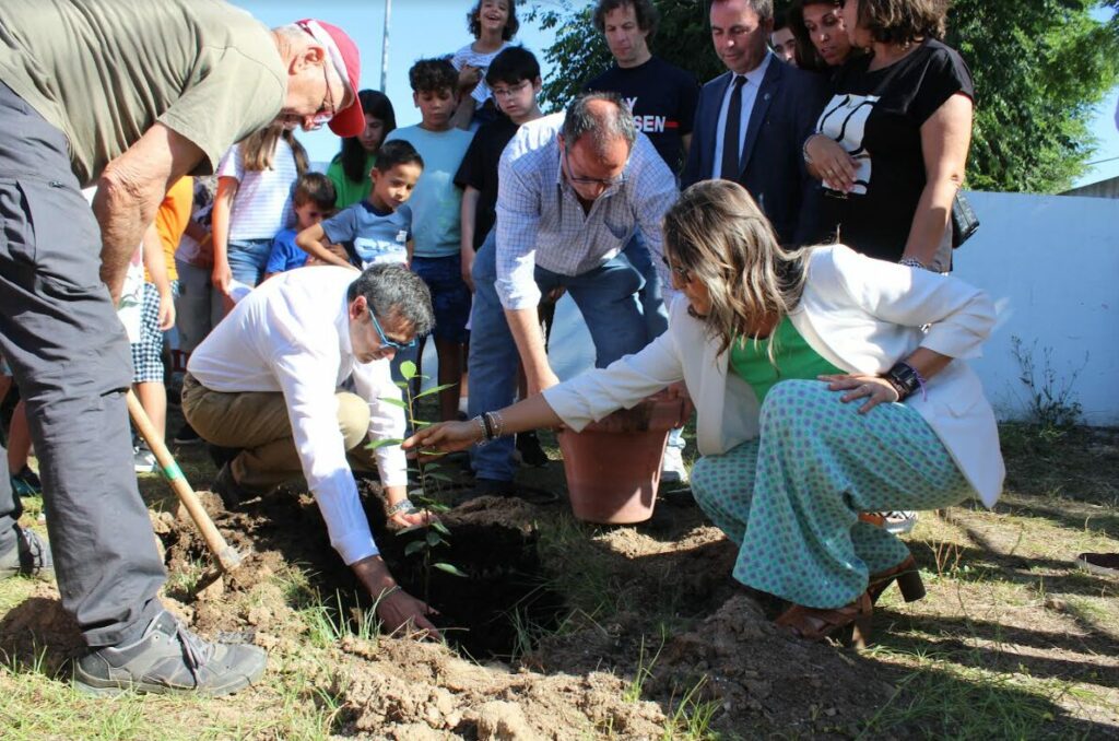 El árbol que plantó Bécquer que crecerá en un colegio de Toledo