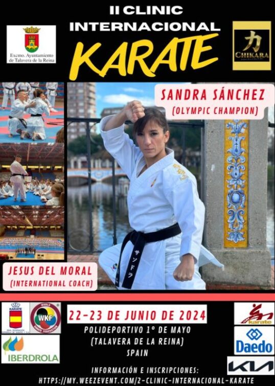 II Clinic Internacional de Karate en Talavera