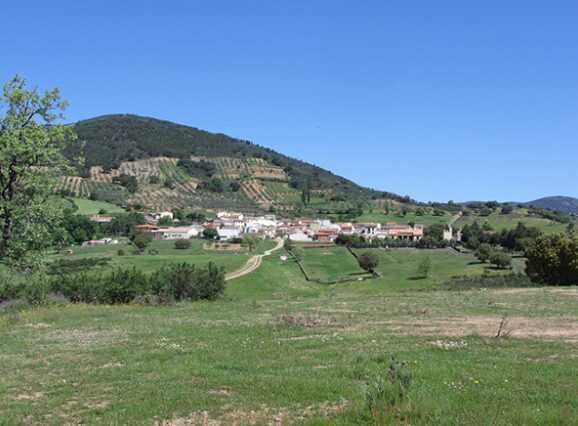 Robledo del Buey: naturaleza y cultura cerca de Talavera