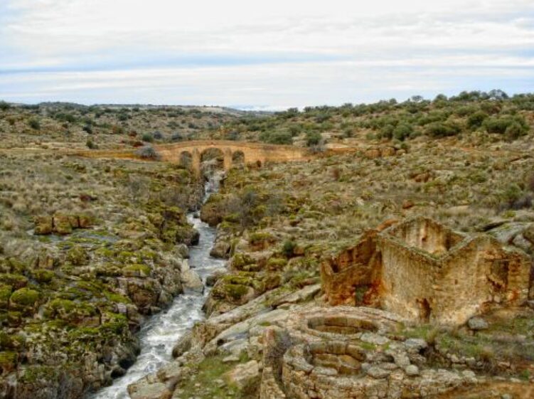 Entorno natural del río Pusa