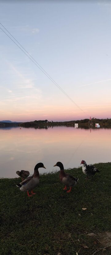 Wakepark Cazalegas: el destino perfecto para el verano