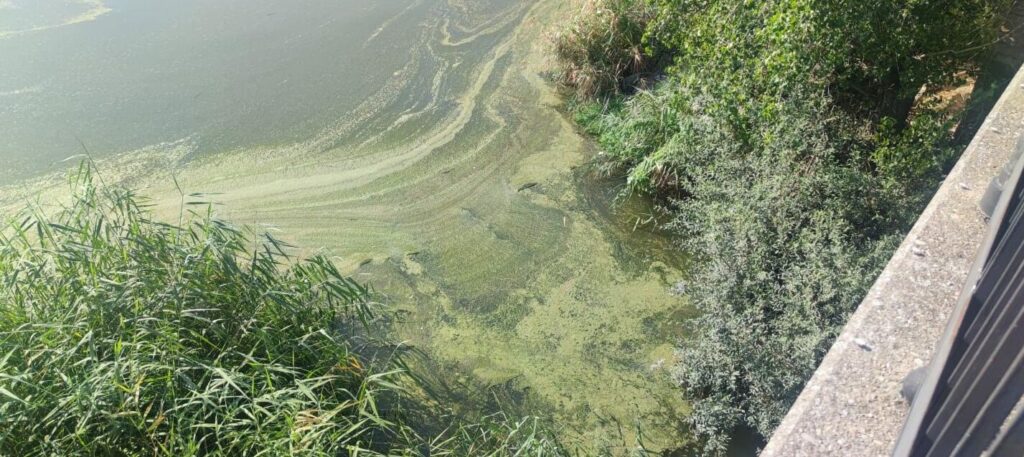 Los socialistas exigen al alcalde que defienda el agua del Tajo