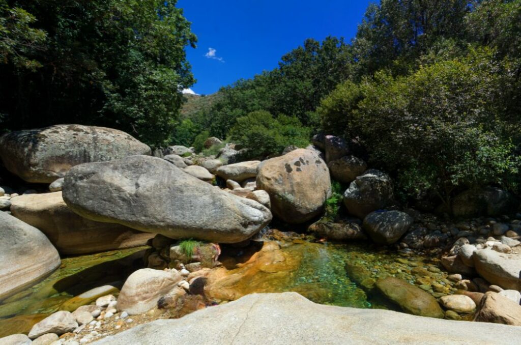 Naturaleza en estado puro