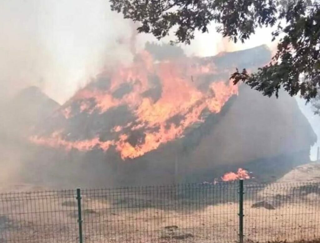 El incendio de El Raso destruye 20 hectáreas de terreno