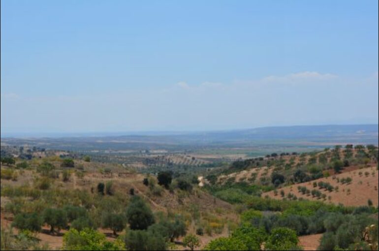 Mesegar de Tajo: historia y naturaleza cerca de Talavera