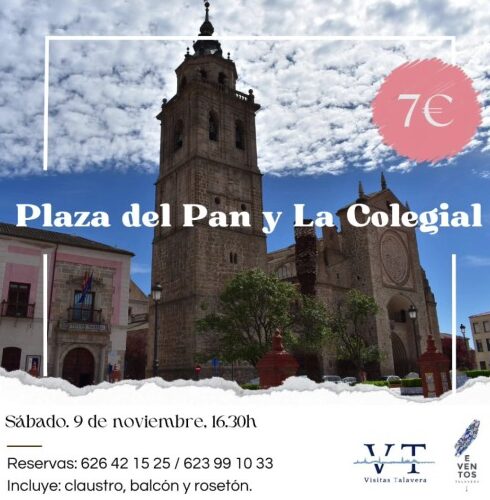 Visitas por Talavera