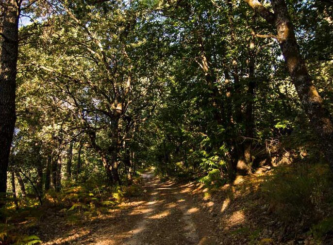 Naturaleza en estado puro en esta ruta