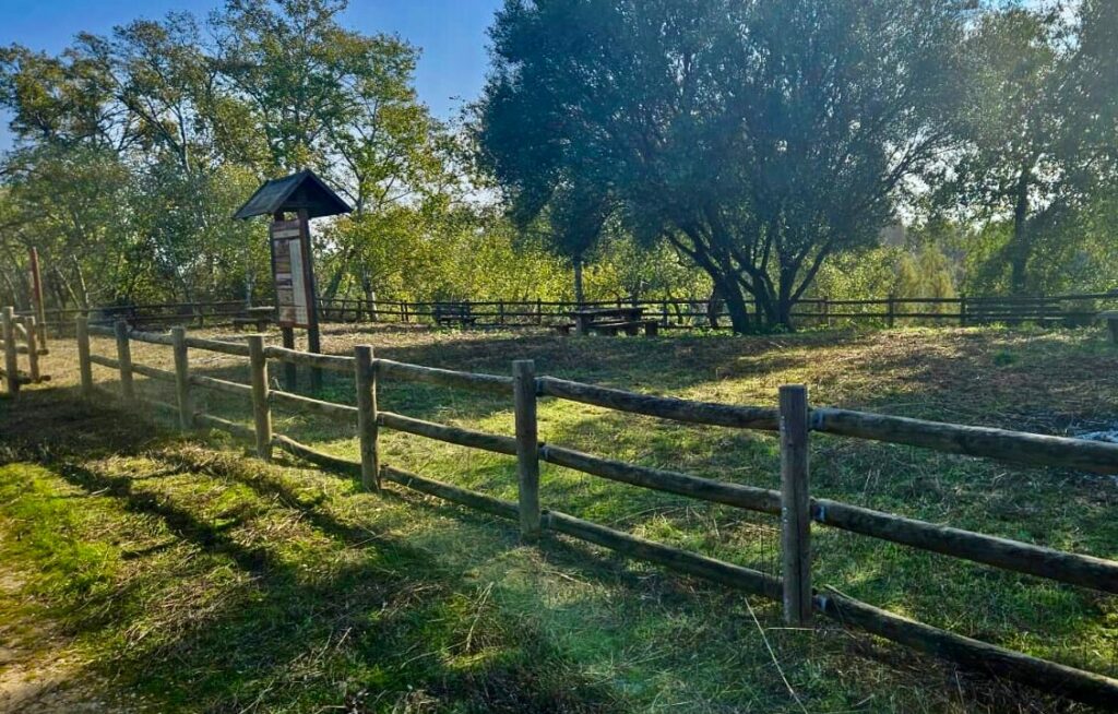 Talavera recupera el merendero del Real Camino de Guadalupe