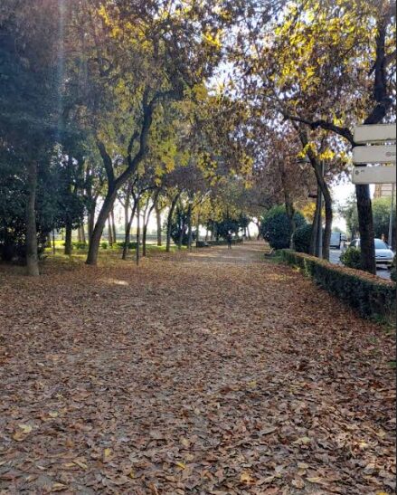 Piden intensificar la limpieza en Talavera ante las lluvias previstas