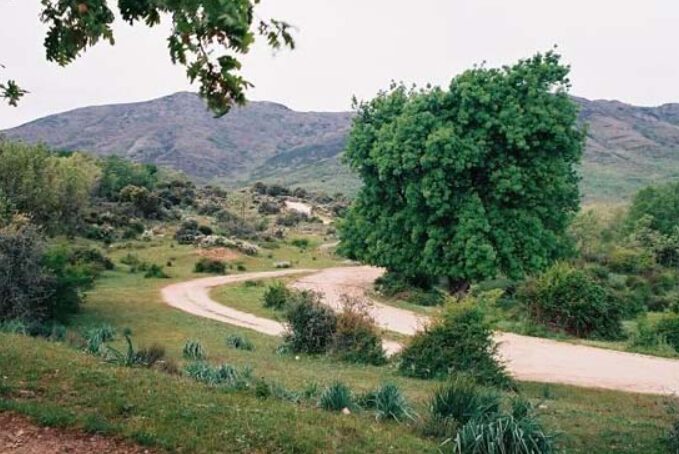 Naturaleza en estado puro