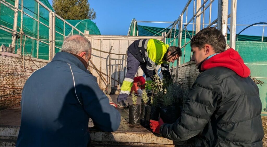 La Diputación de Toledo dona más de 27.000 plantas para la reforestación y mejora de espacios verdes