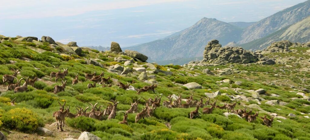 Las 3 localidades de Ávila que te enamorarán