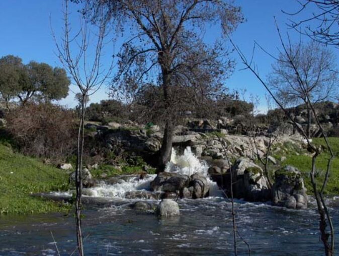 Naturaleza en estado puro