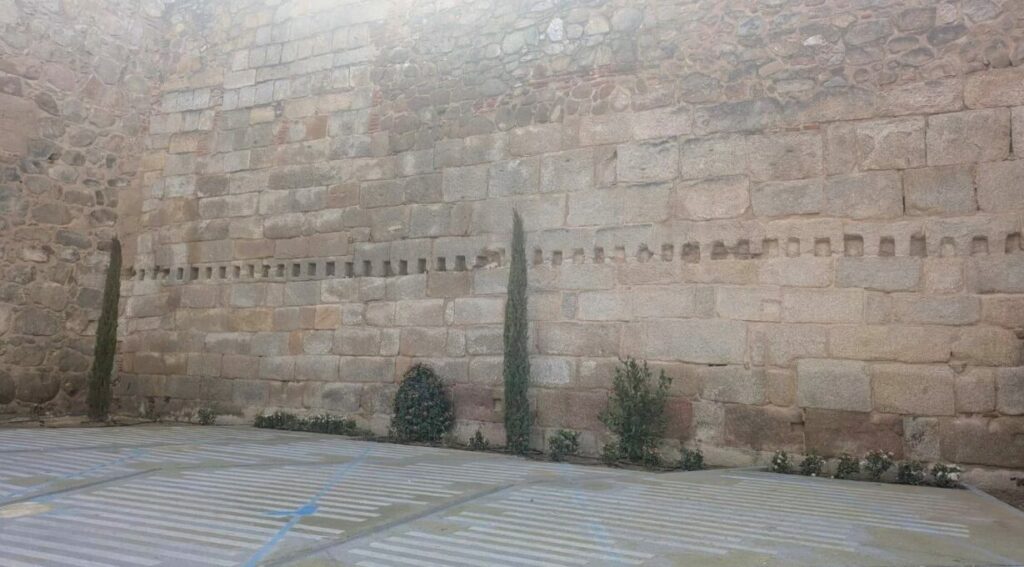 Patrimonio regional exige la retirada de los árboles plantados en la muralla de Talavera