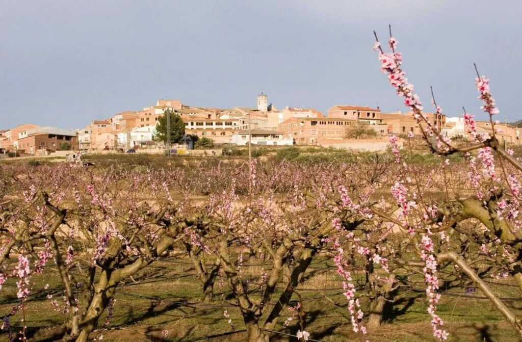 Valdehúncar, vigía del Tajo y un rincón con encanto en Campo Arañuelo